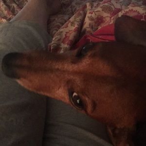 Meet your Posher, Jan